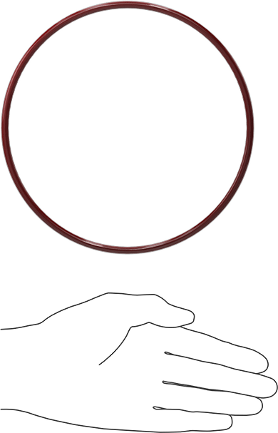 Kimyasala Dayanıklı FEP Kaplı Silikon O-Ring, Düşük Sıcaklık, 3/16 Kesirli Genişlik, Dash No. 362