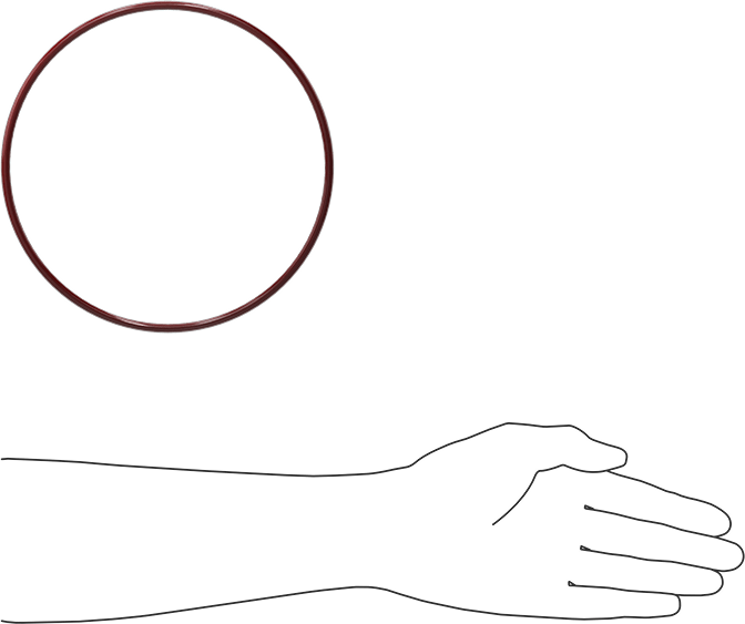 Kimyasala Dayanıklı FEP Kaplı Silikon O-Ring, Düşük Sıcaklık, 3/16 Kesirli Genişlik, Dash No. 365