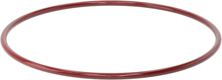 Kimyasala Dayanıklı FEP Kaplı Silikon O-Ring, Düşük Sıcaklık, 3/16 Kesirli Genişlik, Dash No. 365