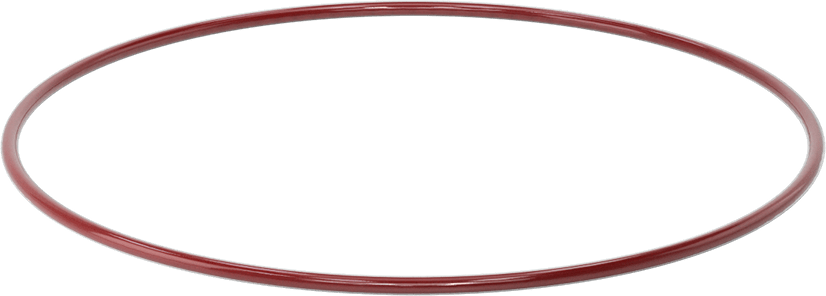 Kimyasala Dayanıklı FEP Kaplı Silikon O-Ring, Düşük Sıcaklık, 3/16 Kesirli Genişlik, Dash No. 376