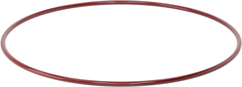 Kimyasala Dayanıklı FEP Kaplı Silikon O-Ring, Düşük Sıcaklık, 3/16 Kesirli Genişlik, Dash No. 377