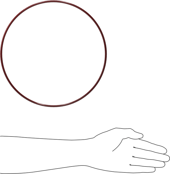 Kimyasala Dayanıklı FEP Kaplı Silikon O-Ring, Düşük Sıcaklık, 3/16 Kesirli Genişlik, Dash No. 377