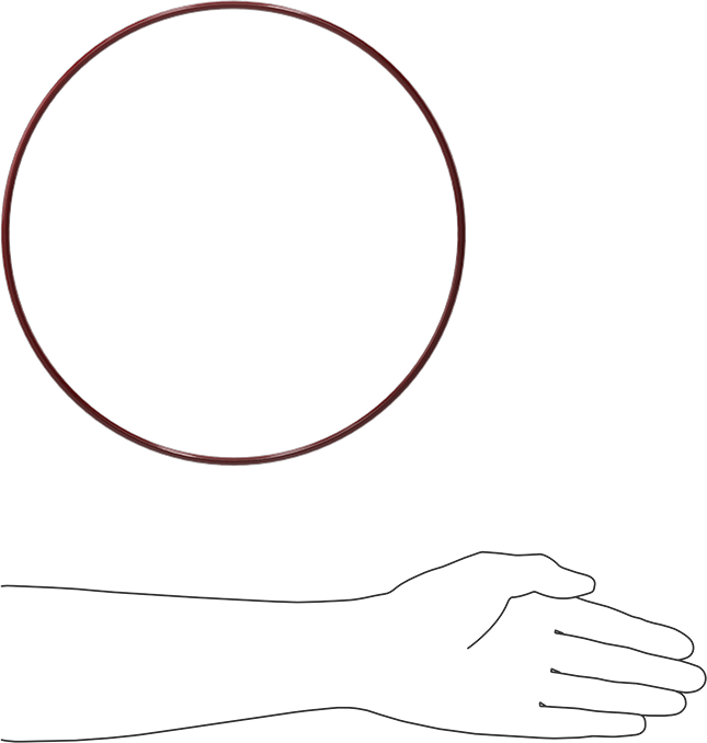 Kimyasala Dayanıklı FEP Kaplı Silikon O-Ring, Düşük Sıcaklık, 3/16 Kesirli Genişlik, Dash No. 378