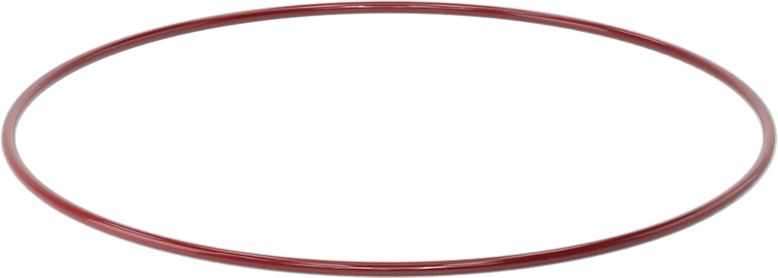 Kimyasala Dayanıklı FEP Kaplı Silikon O-Ring, Düşük Sıcaklık, 3/16 Kesirli Genişlik, Dash No. 379