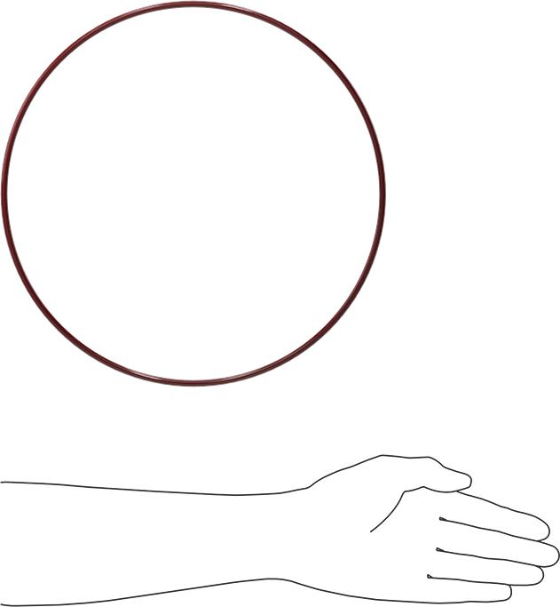 Kimyasala Dayanıklı FEP Kaplı Silikon O-Ring, Düşük Sıcaklık, 3/16 Kesirli Genişlik, Dash No. 379