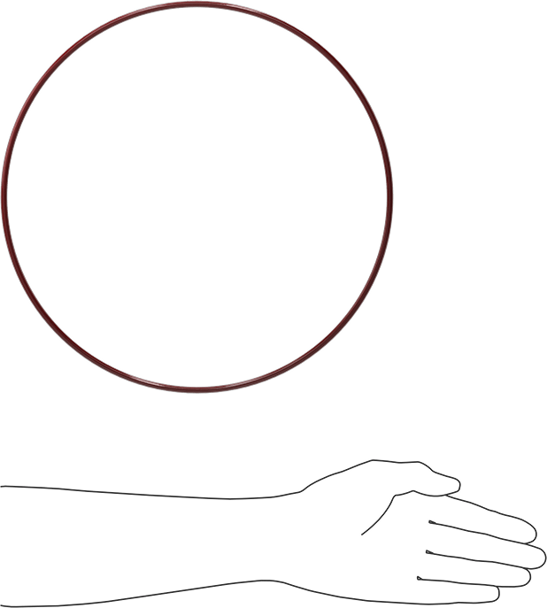 Kimyasala Dayanıklı FEP Kaplı Silikon O-Ring, Düşük Sıcaklık, 3/16 Kesirli Genişlik, Dash No. 380