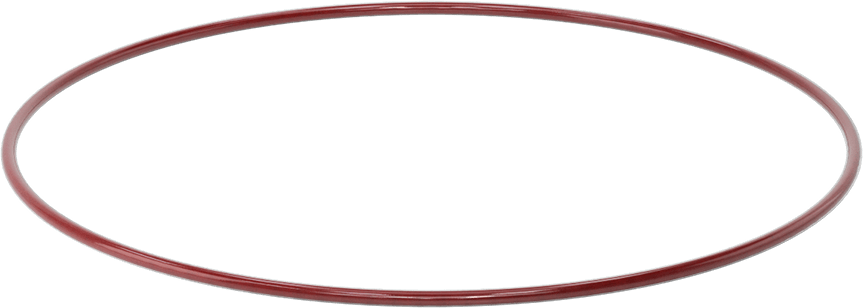 Kimyasala Dayanıklı FEP Kaplı Silikon O-Ring, Düşük Sıcaklık, 3/16 Kesirli Genişlik, Dash No. 380