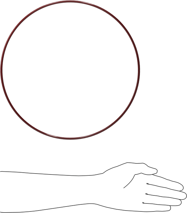 Kimyasala Dayanıklı FEP Kaplı Silikon O-Ring, Düşük Sıcaklık, 3/16 Kesirli Genişlik, Dash No. 381