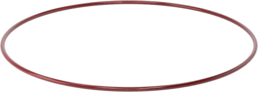 Kimyasala Dayanıklı FEP Kaplı Silikon O-Ring, Düşük Sıcaklık, 3/16 Kesirli Genişlik, Dash No. 381