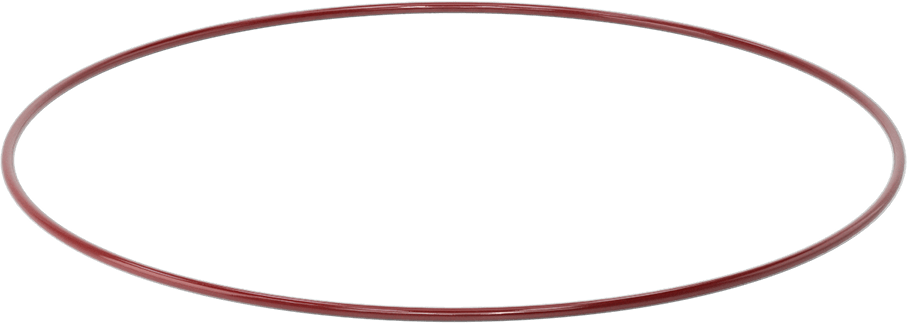 Kimyasala Dayanıklı FEP Kaplı Silikon O-Ring, Düşük Sıcaklık, 3/16 Kesirli Genişlik, Dash No. 383