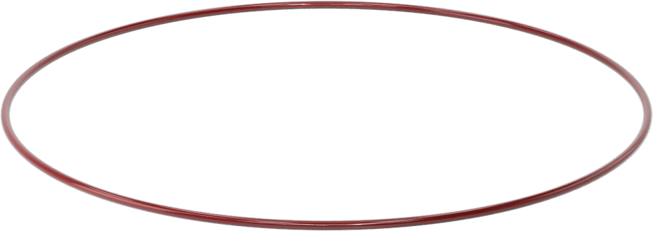 Kimyasala Dayanıklı FEP Kaplı Silikon O-Ring, Düşük Sıcaklık, 3/16 Kesirli Genişlik, Dash No. 384