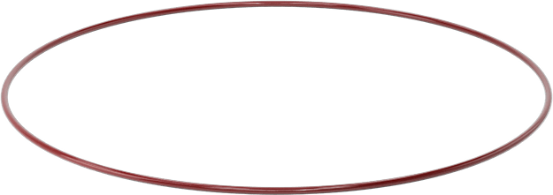 Kimyasala Dayanıklı FEP Kaplı Silikon O-Ring, Düşük Sıcaklık, 3/16 Kesirli Genişlik, Dash No. 385