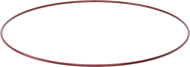 Kimyasala Dayanıklı FEP Kaplı Silikon O-Ring, Düşük Sıcaklık, 3/16 Kesirli Genişlik, Dash No. 386