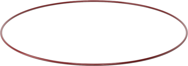 Kimyasala Dayanıklı FEP Kaplı Silikon O-Ring, Düşük Sıcaklık, 3/16 Kesirli Genişlik, Dash No. 387