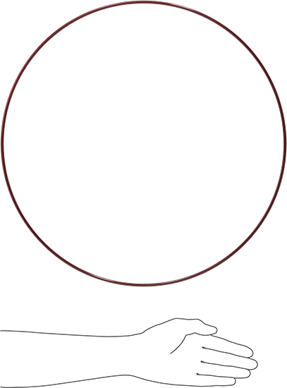 Kimyasala Dayanıklı FEP Kaplı Silikon O-Ring, Düşük Sıcaklık, 3/16 Kesirli Genişlik, Dash No. 387