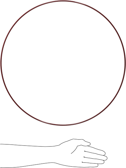 Kimyasala Dayanıklı FEP Kaplı Silikon O-Ring, Düşük Sıcaklık, 3/16 Kesirli Genişlik, Dash No. 388