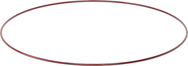 Kimyasala Dayanıklı FEP Kaplı Silikon O-Ring, Düşük Sıcaklık, 3/16 Kesirli Genişlik, Dash No. 389