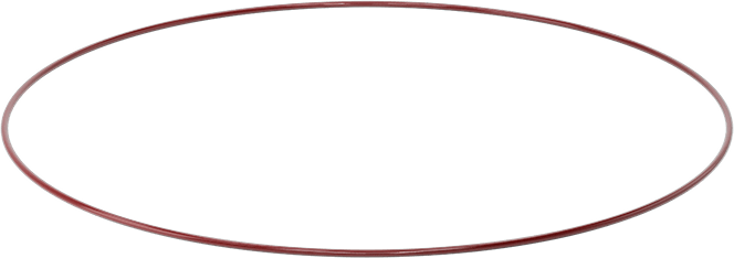 Kimyasala Dayanıklı FEP Kaplı Silikon O-Ring, Düşük Sıcaklık, 3/16 Kesirli Genişlik, Dash No. 390