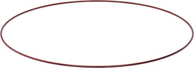 Kimyasala Dayanıklı FEP Kaplı Silikon O-Ring, Düşük Sıcaklık, 3/16 Kesirli Genişlik, Dash No. 391