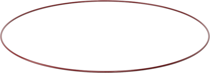 Kimyasala Dayanıklı FEP Kaplı Silikon O-Ring, Düşük Sıcaklık, 3/16 Kesirli Genişlik, Dash No. 393