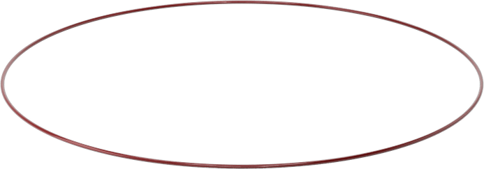 Kimyasala Dayanıklı FEP Kaplı Silikon O-Ring, Düşük Sıcaklık, 3/16 Kesirli Genişlik, Dash No. 395