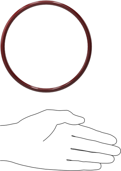 Kimyasala Dayanıklı FEP Kaplı Silikon O-Ring, Düşük Sıcaklık, 1/4 Kesirli Genişlik, Dash No. 429