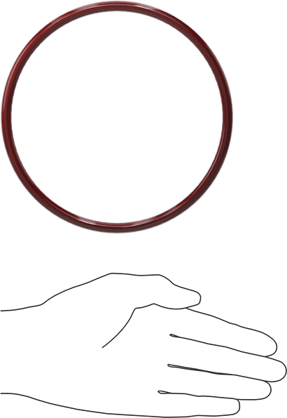 Kimyasala Dayanıklı FEP Kaplı Silikon O-Ring, Düşük Sıcaklık, 1/4 Kesirli Genişlik, Dash No. 432