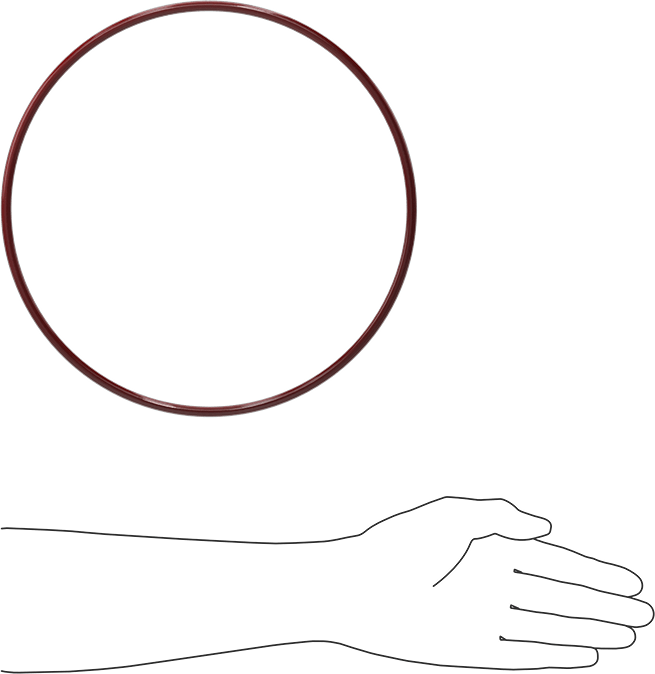 Kimyasala Dayanıklı FEP Kaplı Silikon O-Ring, Düşük Sıcaklık, 1/4 Kesirli Genişlik, Dash No. 449