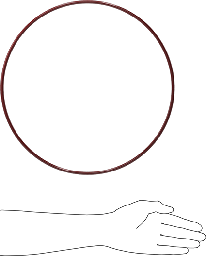 Kimyasala Dayanıklı FEP Kaplı Silikon O-Ring, Düşük Sıcaklık, 1/4 Kesirli Genişlik, Dash No. 456