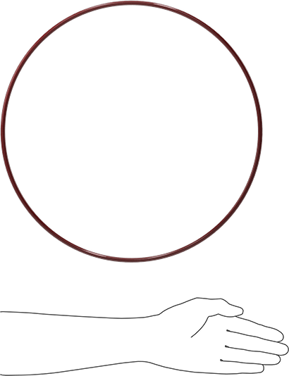 Kimyasala Dayanıklı FEP Kaplı Silikon O-Ring, Düşük Sıcaklık, 1/4 Kesirli Genişlik, Dash No. 458