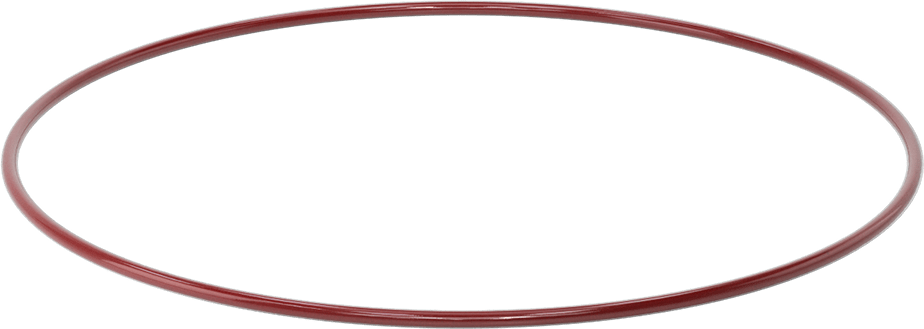 Kimyasala Dayanıklı FEP Kaplı Silikon O-Ring, Düşük Sıcaklık, 1/4 Kesirli Genişlik, Dash No. 459