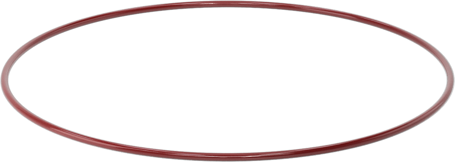 Kimyasala Dayanıklı FEP Kaplı Silikon O-Ring, Düşük Sıcaklık, 1/4 Kesirli Genişlik, Dash No. 460