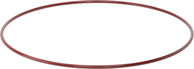 Kimyasala Dayanıklı FEP Kaplı Silikon O-Ring, Düşük Sıcaklık, 1/4 Kesirli Genişlik, Dash No. 461