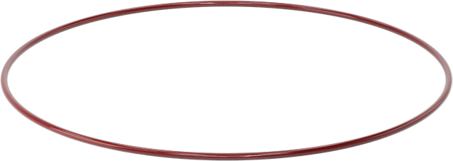 Kimyasala Dayanıklı FEP Kaplı Silikon O-Ring, Düşük Sıcaklık, 1/4 Kesirli Genişlik, Dash No. 464