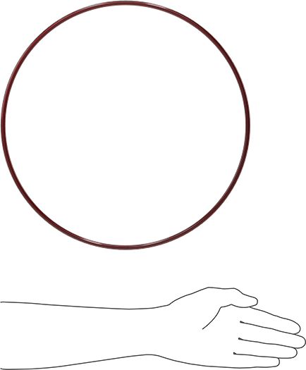 Kimyasala Dayanıklı FEP Kaplı Silikon O-Ring, Düşük Sıcaklık, 1/4 Kesirli Genişlik, Dash No. 455