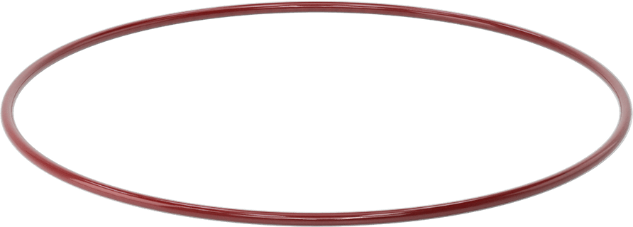 Kimyasala Dayanıklı FEP Kaplı Silikon O-Ring, Düşük Sıcaklık, 1/4 Kesirli Genişlik, Dash No. 455