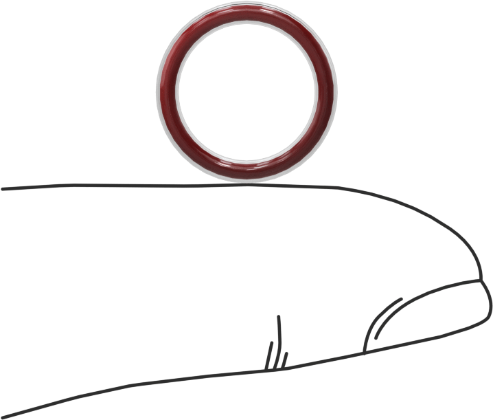 Kimyasala Dayanıklı FEP Kaplı Silikon O-Ring, Düşük Sıcaklık, 1/16 Kesirli Genişlik, Dash No. 013