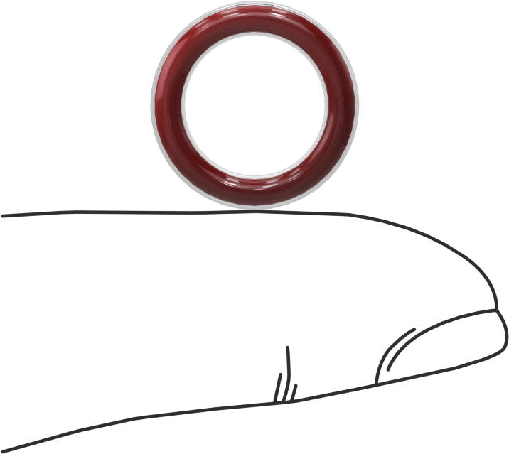 Kimyasala Dayanıklı FEP Kaplı Silikon O-Ring, Düşük Sıcaklık, 3/32 Kesirli Genişlik, Dash No. 111