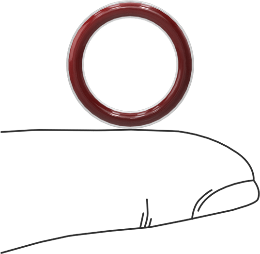 Kimyasala Dayanıklı FEP Kaplı Silikon O-Ring, Düşük Sıcaklık, 3/32 Kesirli Genişlik, Dash No. 113