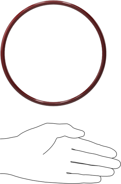 Kimyasala Dayanıklı FEP Kaplı Silikon O-Ring, Düşük Sıcaklık, 1/4 Kesirli Genişlik, Dash No. 436