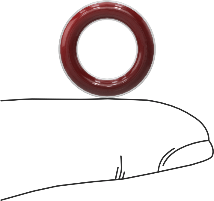 Kimyasala Dayanıklı FEP Kaplı Silikon O-Ring, Düşük Sıcaklık, 1/8 Kesirli Genişlik, Dash No. 205