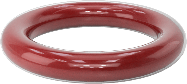 Kimyasala Dayanıklı FEP Kaplı Silikon O-Ring, Düşük Sıcaklık, 3/16 Kesirli Genişlik, Dash No. 317