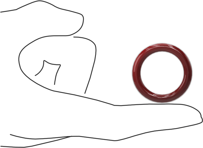 Kimyasala Dayanıklı FEP Kaplı Silikon O-Ring, Düşük Sıcaklık, 3/16 Kesirli Genişlik, Dash No. 318