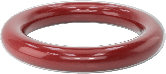 Kimyasala Dayanıklı FEP Kaplı Silikon O-Ring, Düşük Sıcaklık, 3/16 Kesirli Genişlik, Dash No. 318