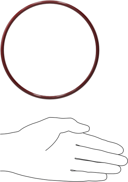 Kimyasala Dayanıklı FEP Kaplı Silikon O-Ring, Düşük Sıcaklık, 3/16 Kesirli Genişlik, Dash No. 355