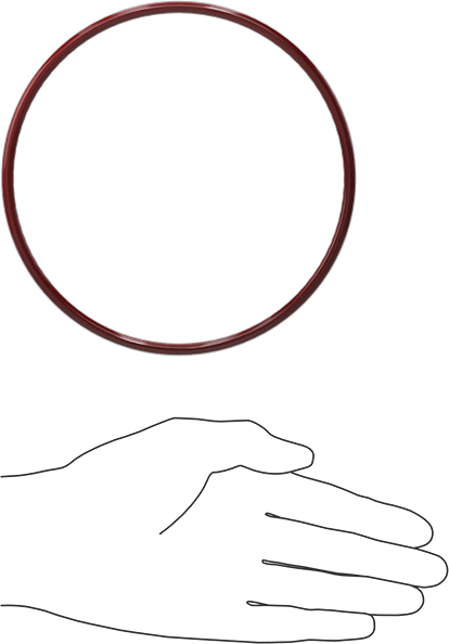 Kimyasala Dayanıklı FEP Kaplı Silikon O-Ring, Düşük Sıcaklık, 3/16 Kesirli Genişlik, Dash No. 356