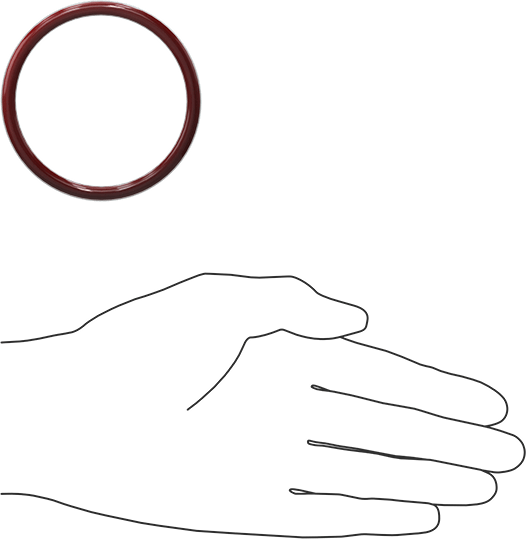 Kimyasala Dayanıklı FEP Kaplı Silikon O-Ring, Düşük Sıcaklık, 3/16 Kesirli Genişlik, Dash No. 332