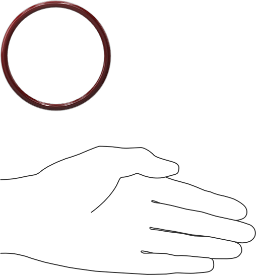 Kimyasala Dayanıklı FEP Kaplı Silikon O-Ring, Düşük Sıcaklık, 3/16 Kesirli Genişlik, Dash No. 335