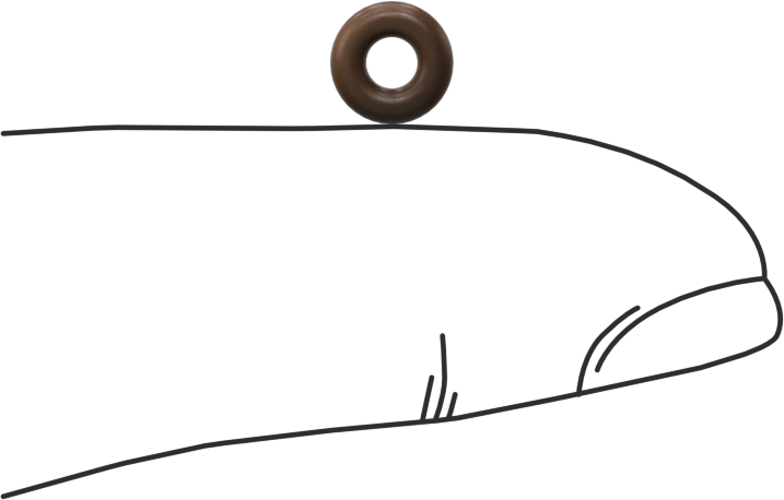 Düşük Gaz Salınımlı Kimyasala Dayanıklı O-Rings, Yumuşak Viton® Floroelastomer, Dash No. 005