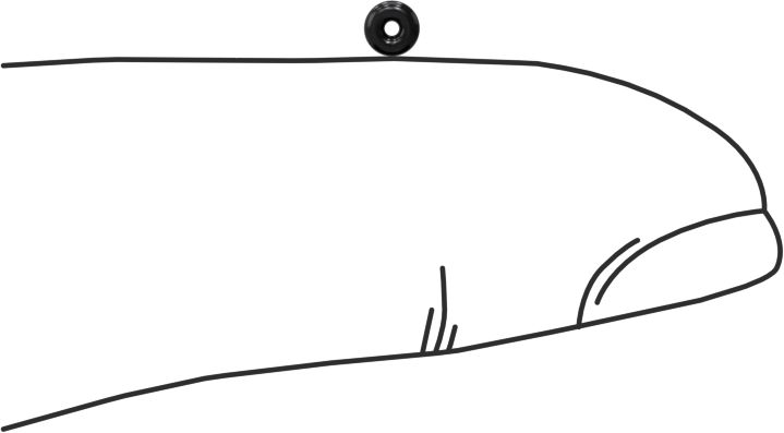 Kimyasala Dayanıklı Viton® Floroelastomer O-Rings, Düşük Gaz Salınımlı, 1/32 Kesirli Genişlik, Dash No. 001